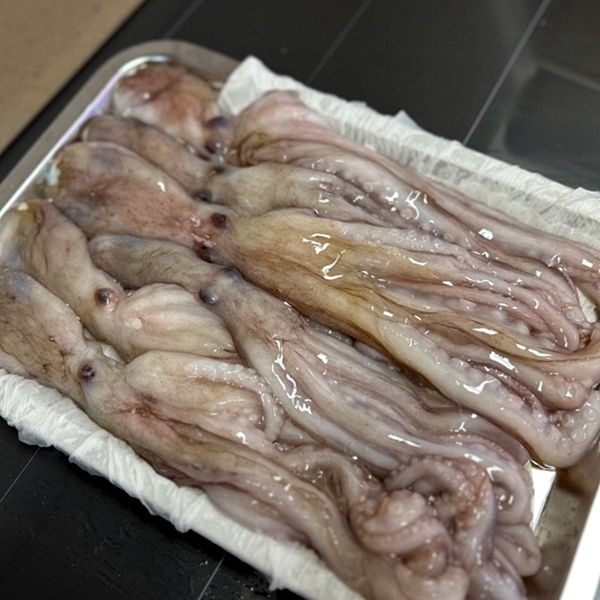 맛상 급냉 낙지 1kg 대표이미지 섬네일