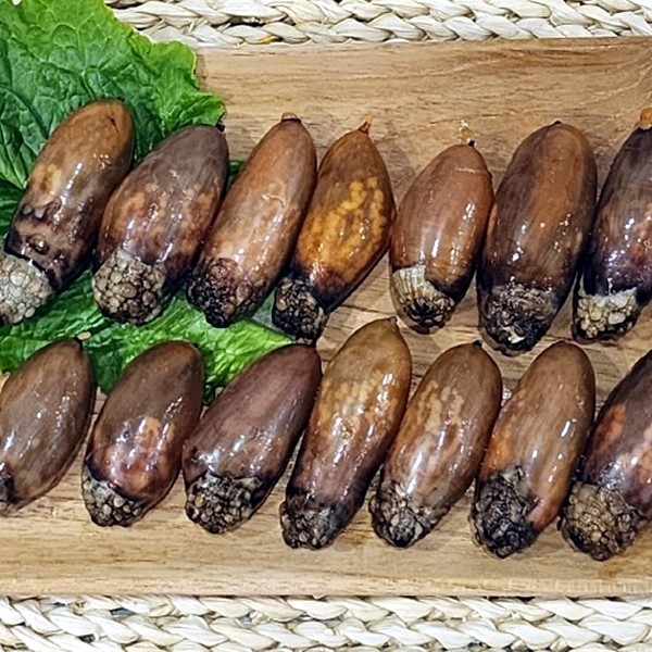 통통 미더덕 500g