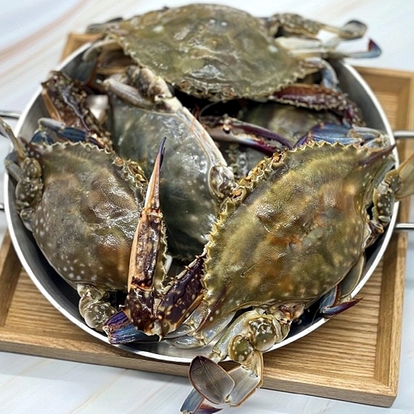 연안 급냉 소숫게 1kg 대표이미지 섬네일