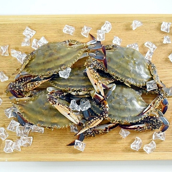 연안 활 소암게 1kg 대표이미지 섬네일