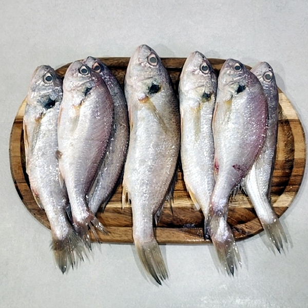 백빛 백조기 1kg 대표이미지 섬네일