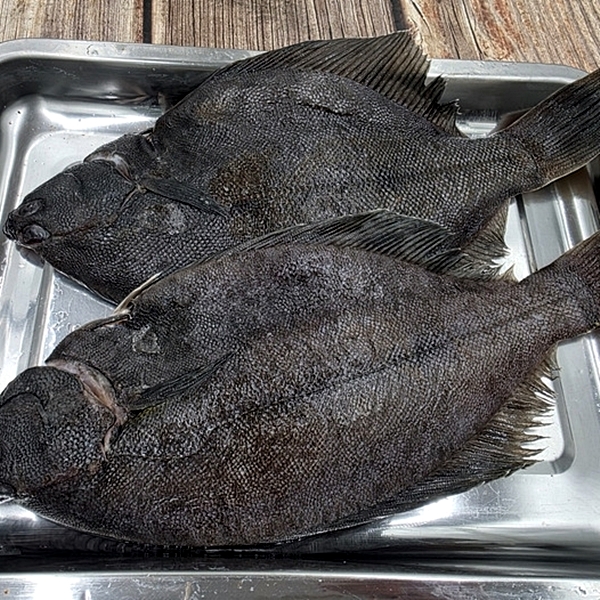 통통 손질 도다리 800g 대표이미지 섬네일