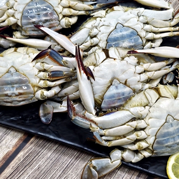 통통 급냉 암꽃게 1kg