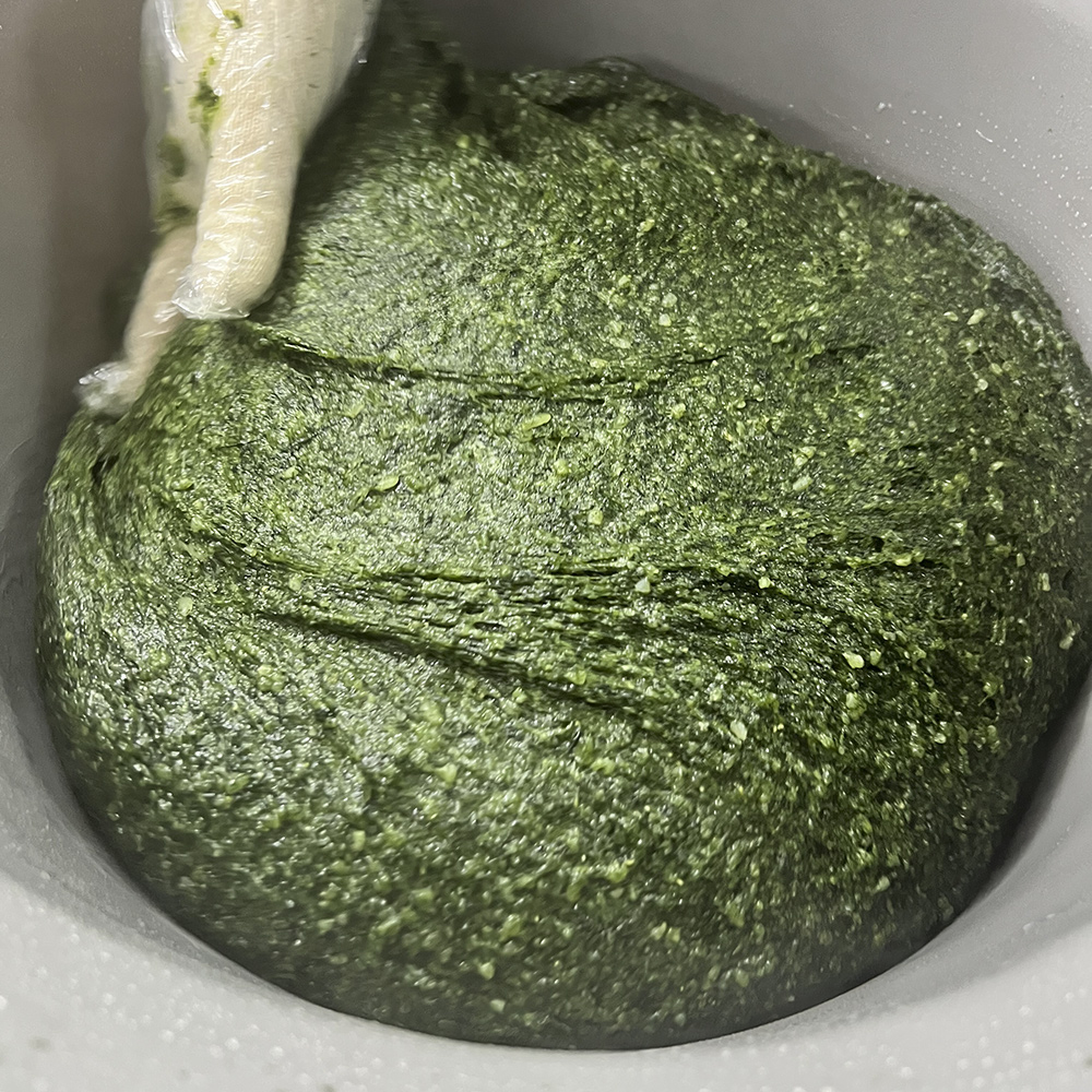 밥알쑥떡 1.5kg 진도 해풍쑥 전통 쑥떡 콩고물포함 당일생산 개별포장 식사대용