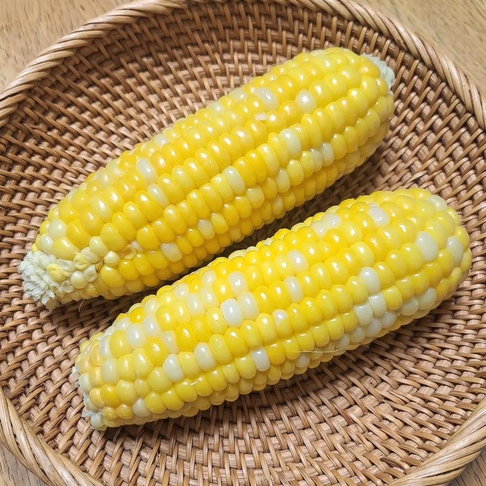 달콤한 초당옥수수 신선한 산지직송 5입~ 중품