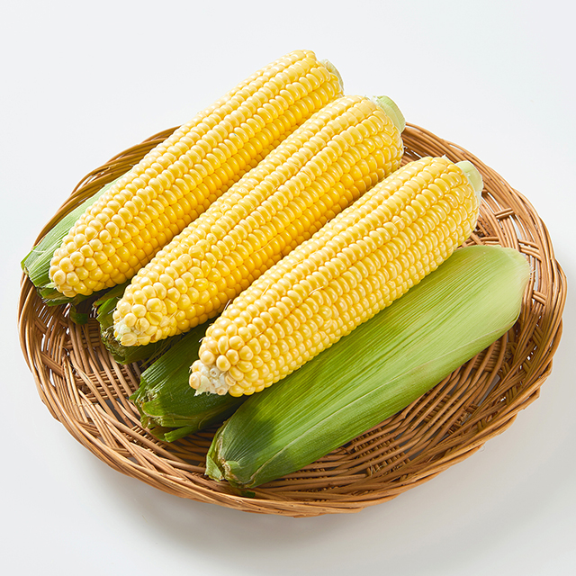 햇 초당옥수수 국내산 생옥수수