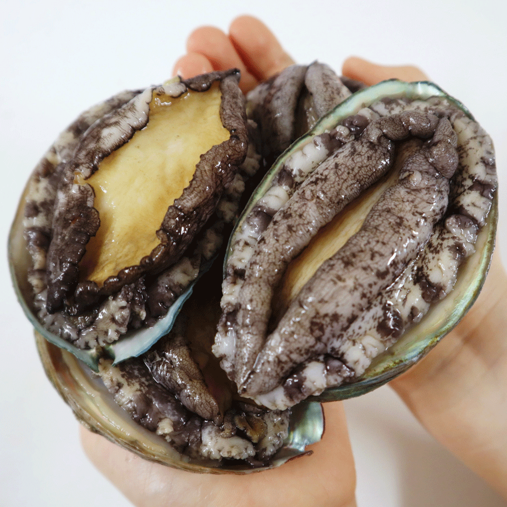 완도 전복 1kg 4-5미 특대 활전복 (산소포장) 대표이미지 섬네일