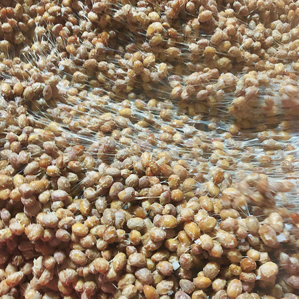 백이동골 한끼 청국장 270g