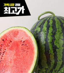 당일수확 선별 고당도 스윗수박 5-7kg 대표이미지 섬네일