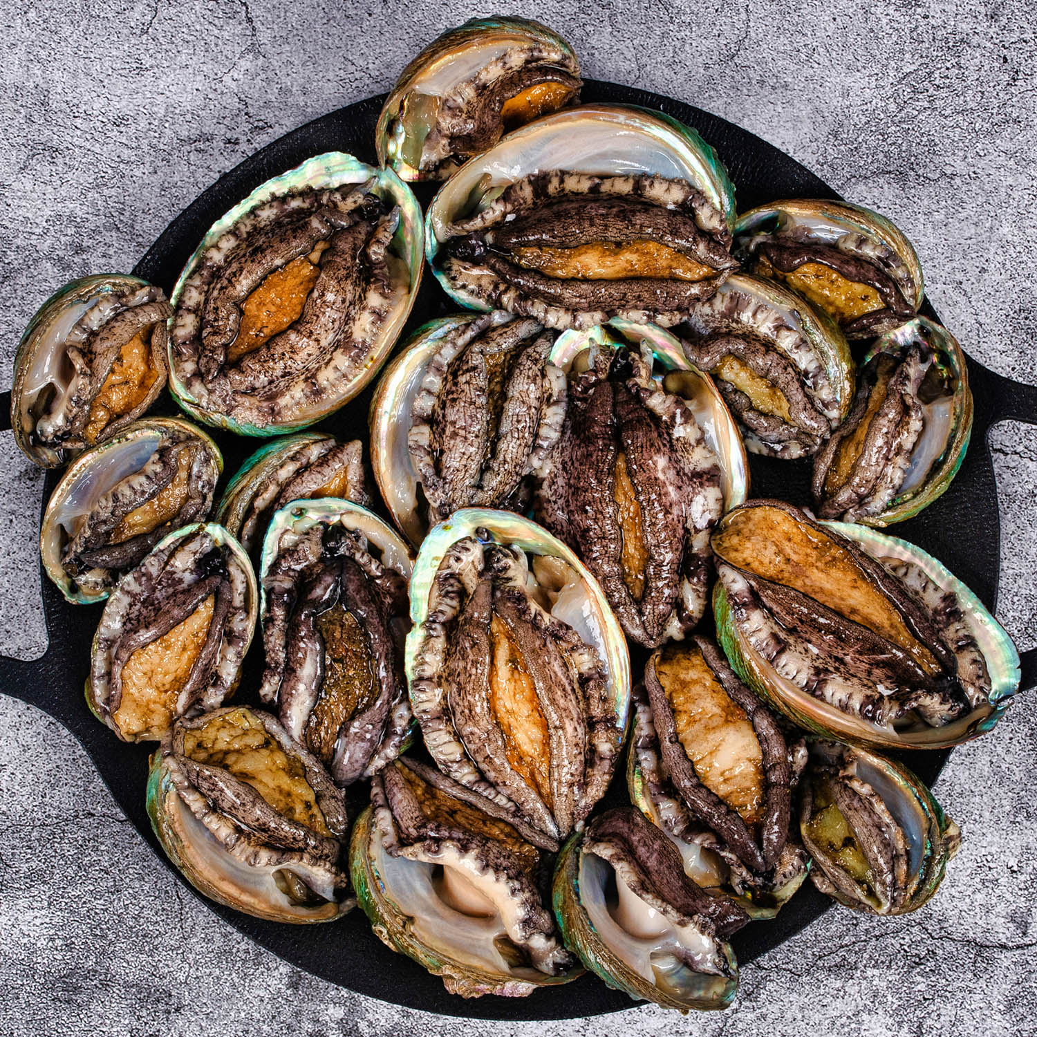 완도 전복 1kg 11-12미 대 활전복 (산소포장)