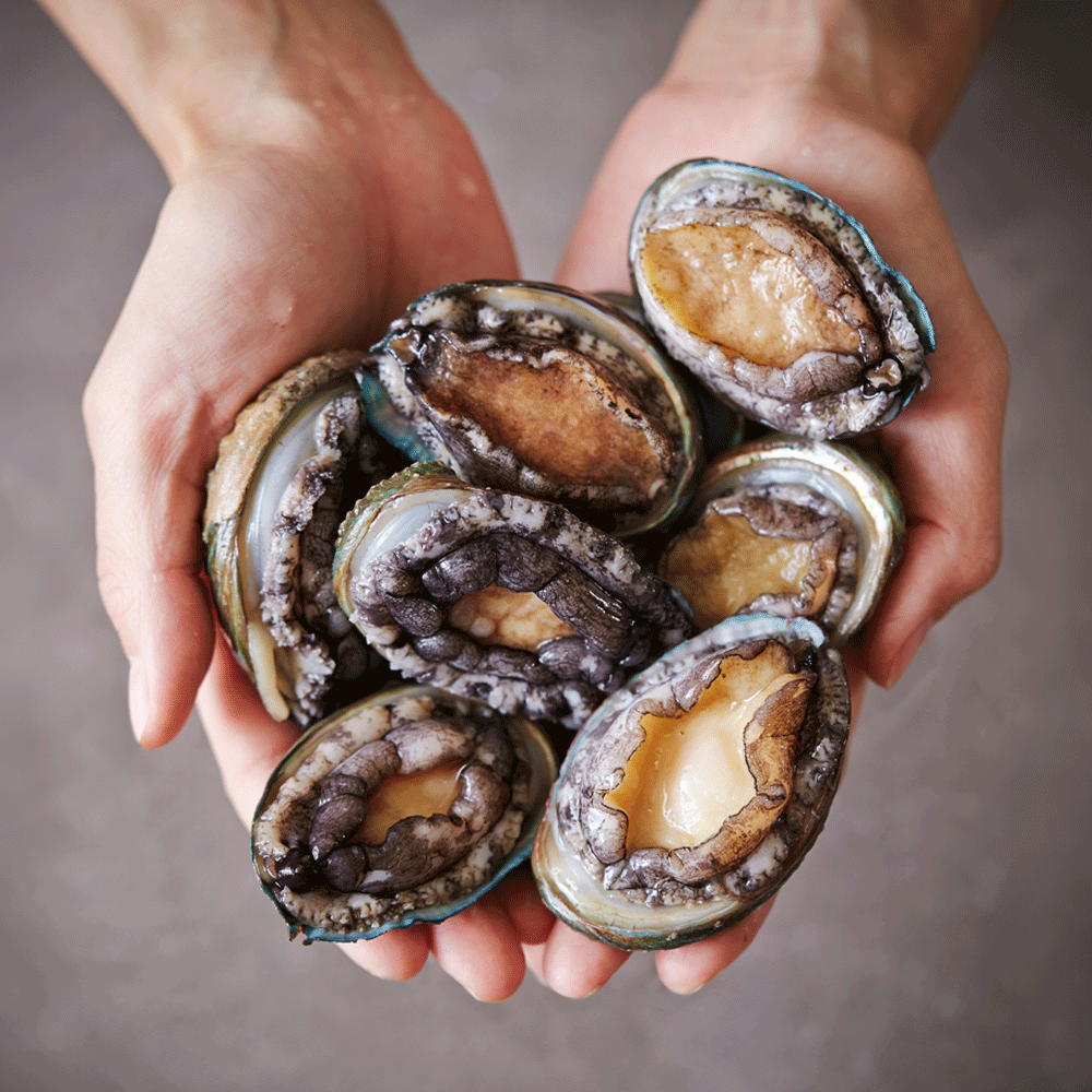 완도 전복 1kg 11-12미 대 활전복 (산소포장)