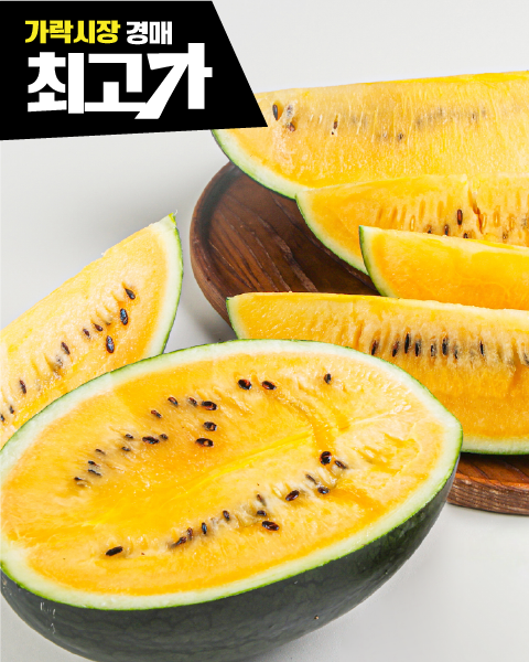 산지직송 당일선별 고당도 노란수박 블랙망고수박