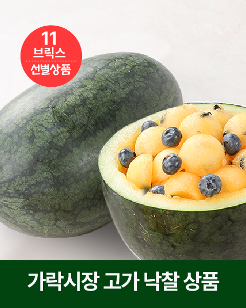 산지직송 당일선별 고당도 노란수박 블랙망고수박