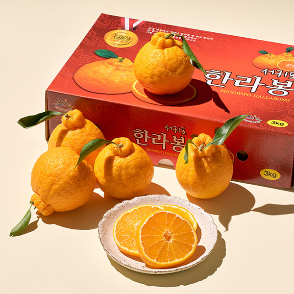 [명품] 블랙홀 한라봉 (3kg/8-10입)