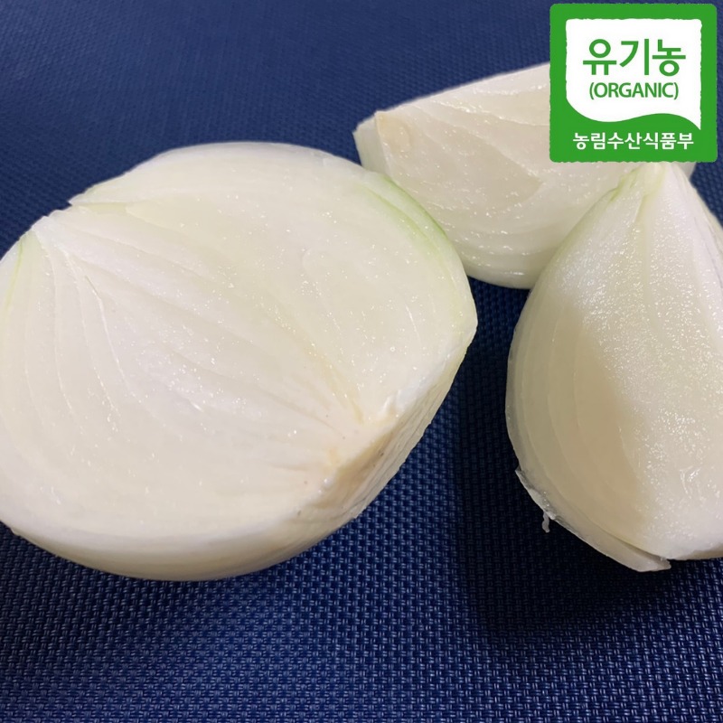 유기농 양파
