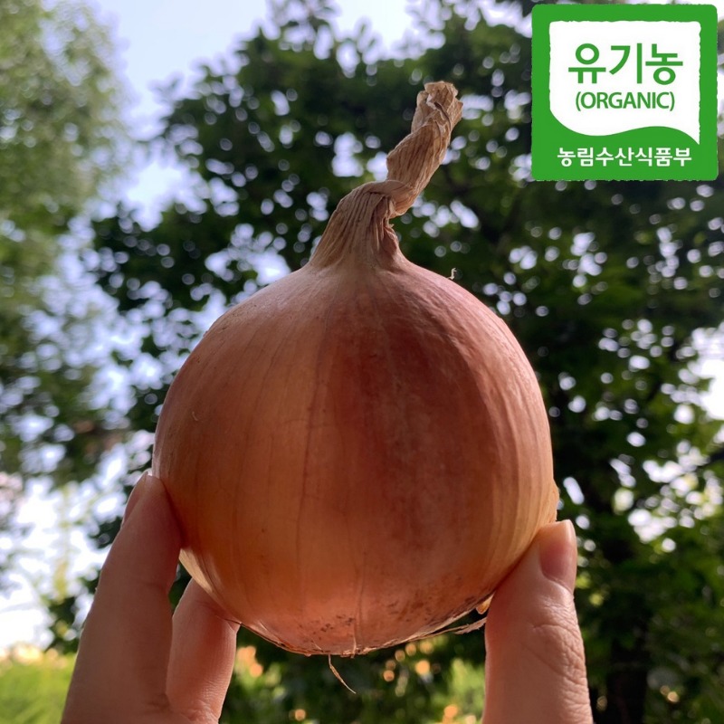 유기농 양파 대표이미지 섬네일