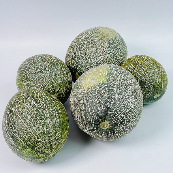 [오커최고] 진한 하미과 메론 주황빛 멜론 2kg 5kg