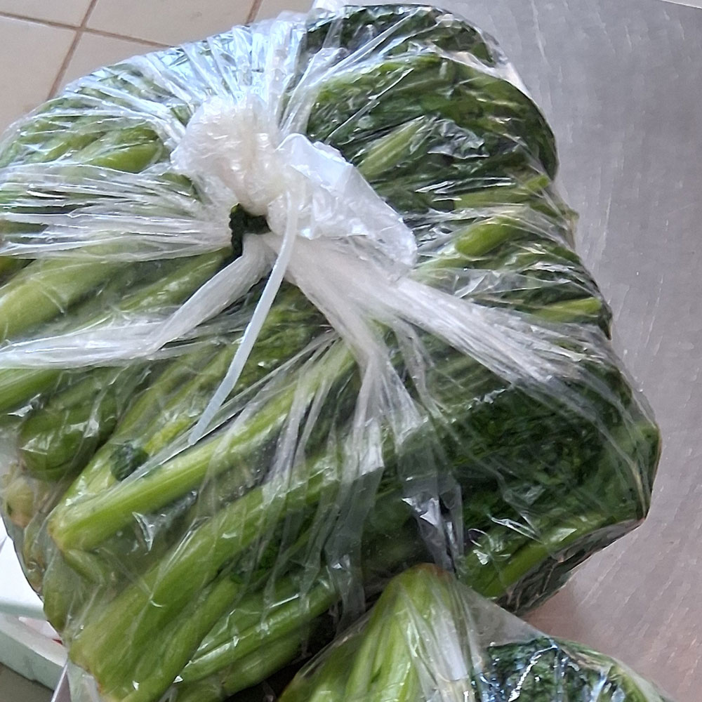 산지직송 여수 돌산갓