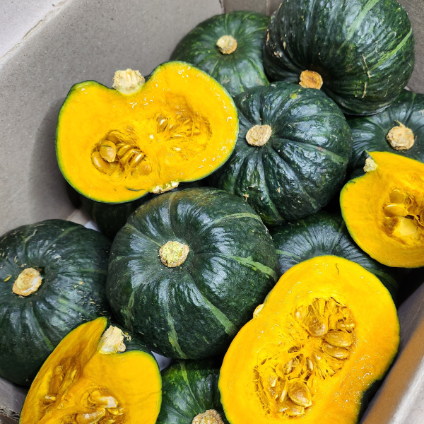 [다오소농수산]산지직송 제주밤호박 보우짱 미니단호박 2kg~