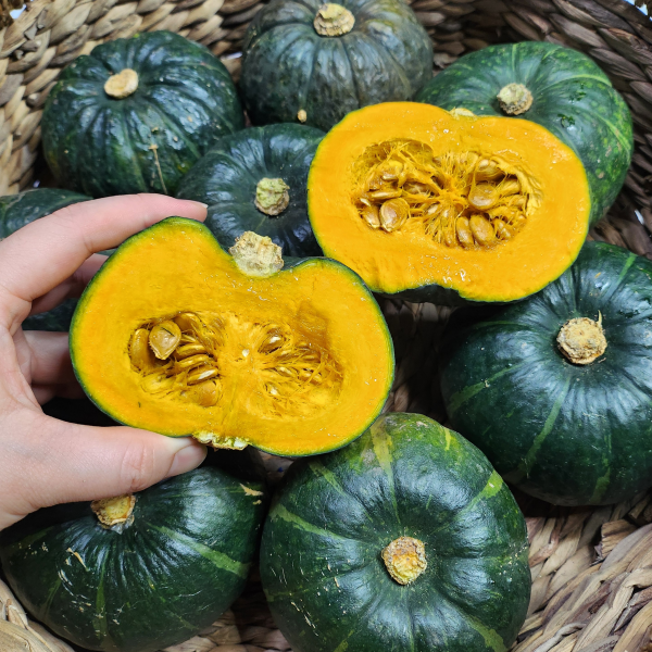 [다오소농수산]산지직송 제주밤호박 보우짱 미니단호박 2kg~ 대표이미지 섬네일