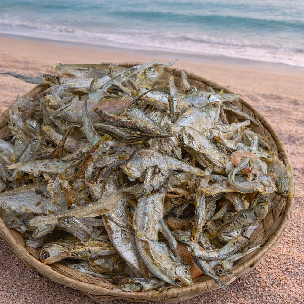 국내산 육수용 잡어 1kg / 국물용 무거리 멸치 건새우 꽃게 밴댕이 해물육수 건어물 대표이미지 섬네일