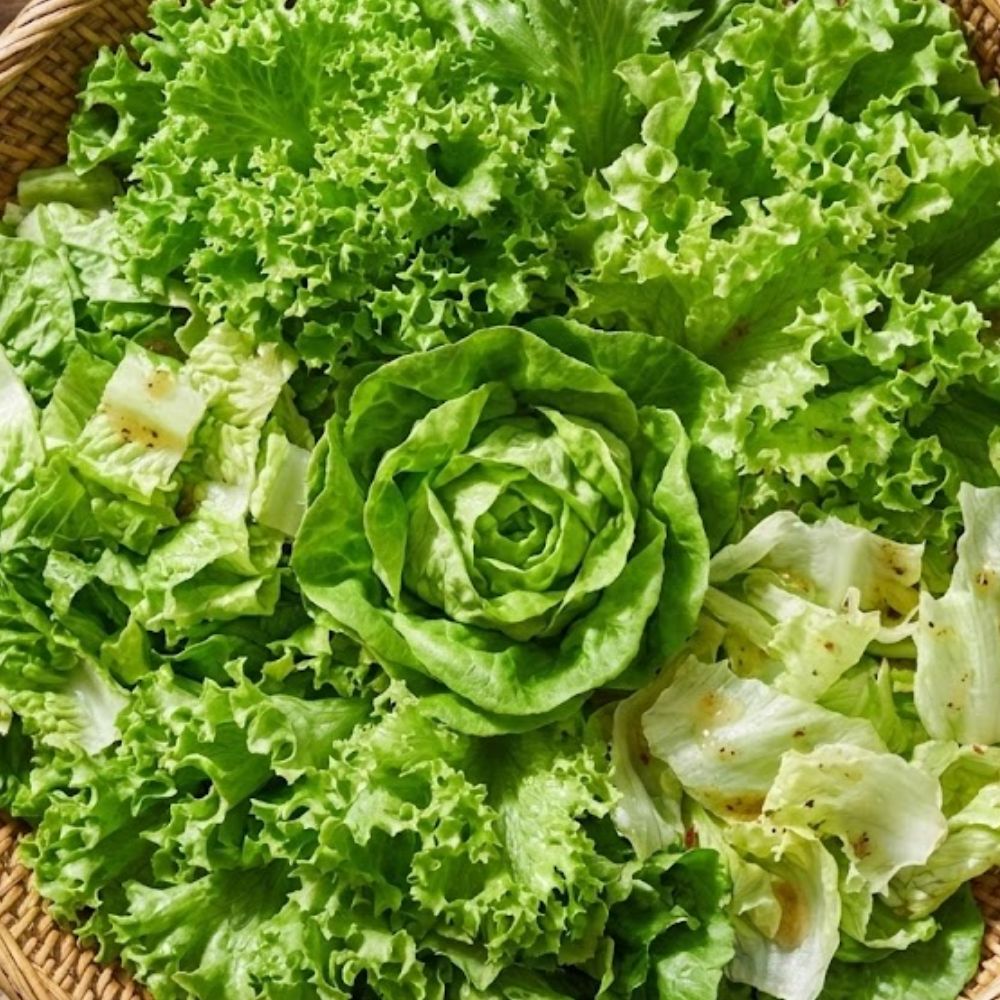 유러피안 샐러드 쌈채소 500g 1kg