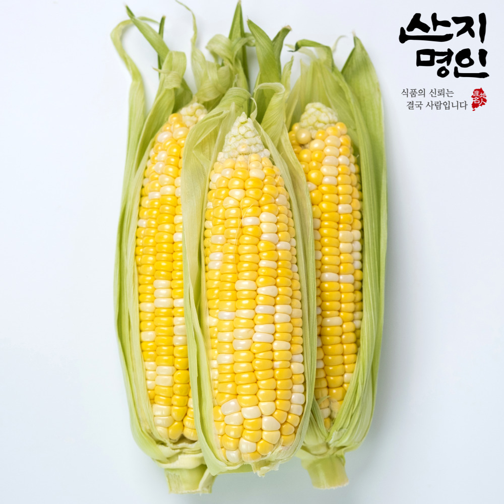 [산지명인] 해남 햇 초당옥수수 14cm이상(특품) 5개입/10개입