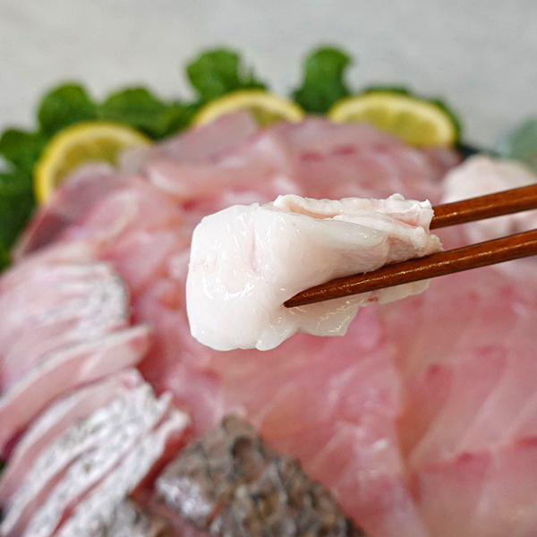 민어회 450g 목포 자연산 부레 껍질 필렛 지리탕 민어전 생선회