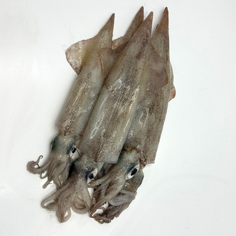쫄깃한 동해안 급냉 한치 술안주 간식용
