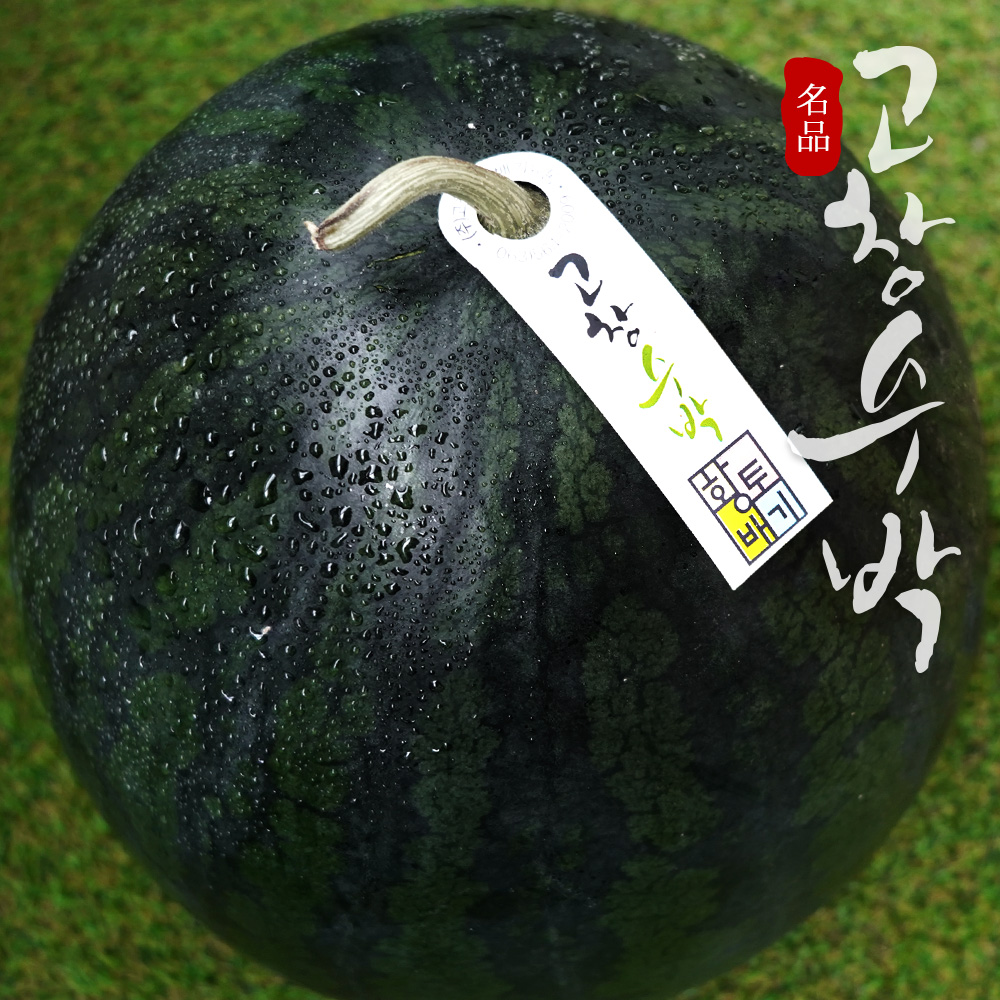 [고창특산물] 명품 고창 수박 모음 대표이미지 섬네일
