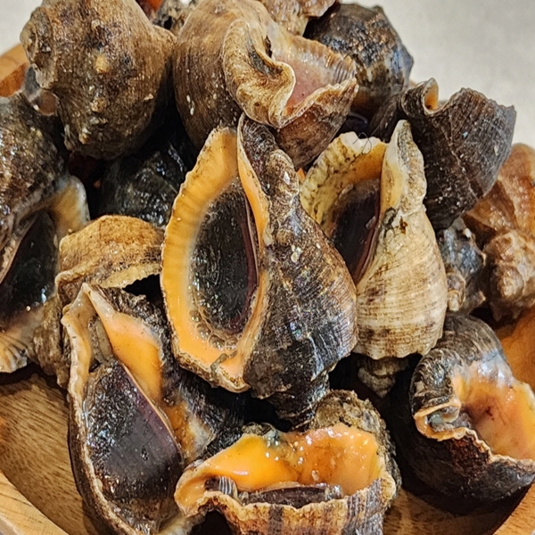 연안 연평참소라 1kg 대표이미지 섬네일
