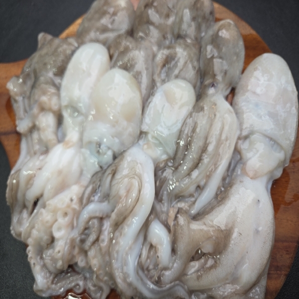 연안 급냉 봄주꾸미 1kg 대표이미지 섬네일
