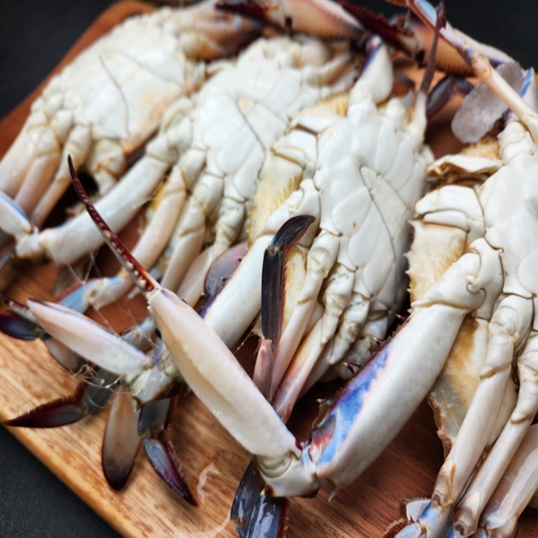 연안 활 대숫게 1kg