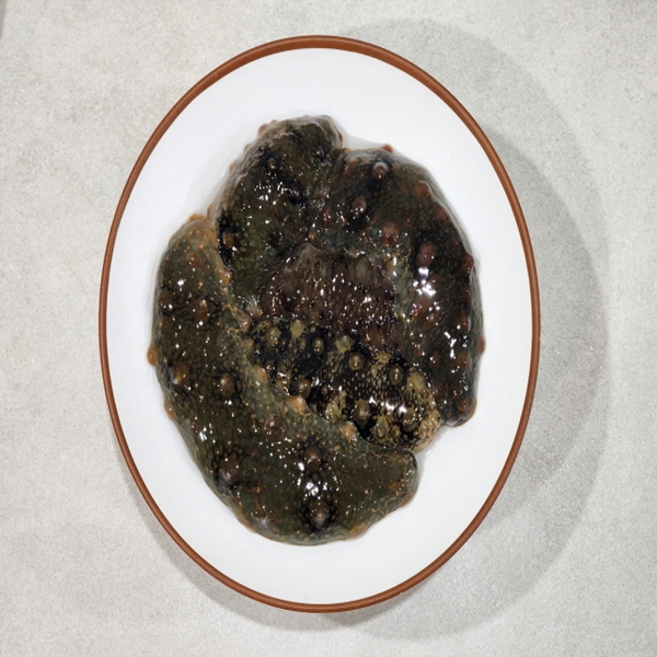 참 활 해삼 500g 대표이미지 섬네일