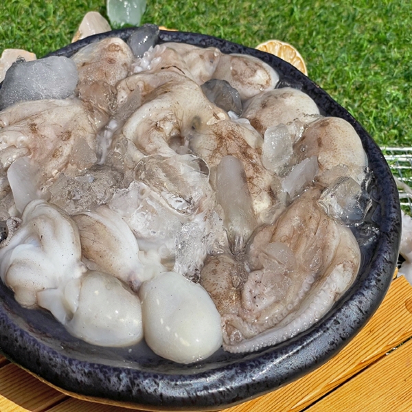 급냉 탱탱 알주꾸미 1kg 대표이미지 섬네일