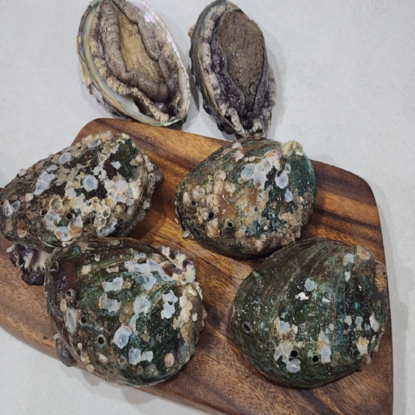 임금님 5-6미 전복 1-2kg
