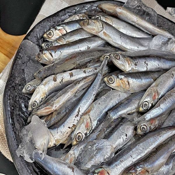당일 생멸치 1kg 대표이미지 섬네일