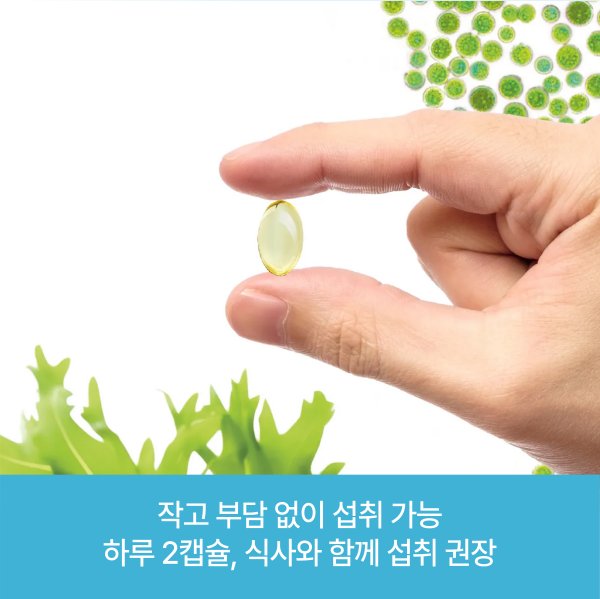 [닥터로게스]독일 정식수입 혈행개선 눈건강 영양제 미세조류 추출 식물성 오메가3 로게스 640mg 60캡슐 1박스