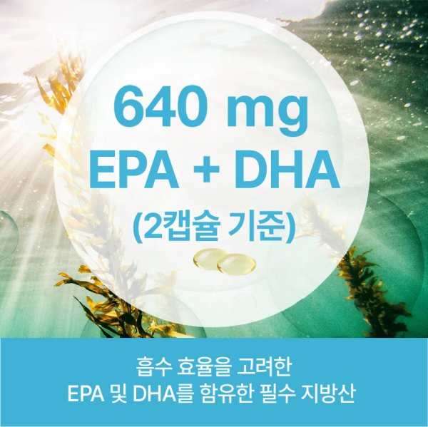 [닥터로게스]독일 정식수입 혈행개선 눈건강 영양제 미세조류 추출 식물성 오메가3 로게스 640mg 60캡슐 1박스