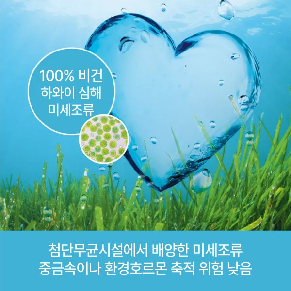 [닥터로게스]독일 정식수입 혈행개선 눈건강 영양제 미세조류 추출 식물성 오메가3 로게스 640mg 60캡슐 1박스