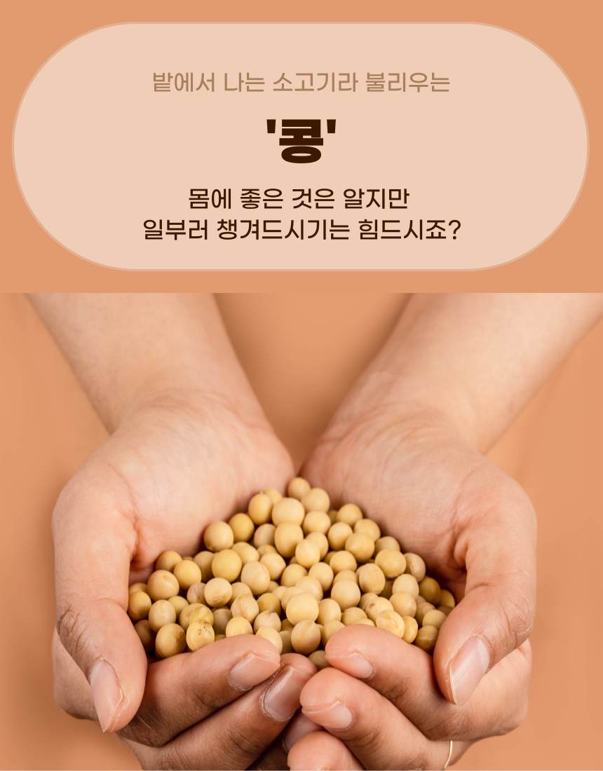 대용량 1kg 파주장단콩99%식물성단백질쉐이크 요거단백