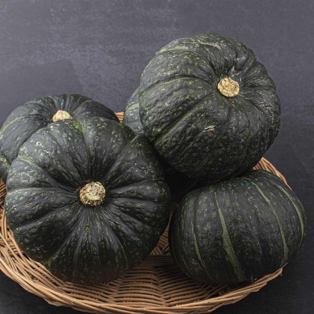 [초록한입] 해남산 달콤포근 미니밤호박 1kg,3kg,5kg