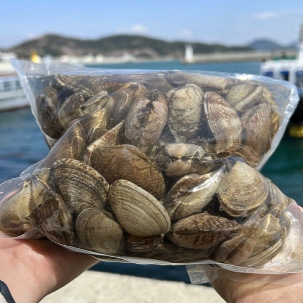 신선한 남해안 대왕바지락 1kg 35-40미 대표이미지 섬네일