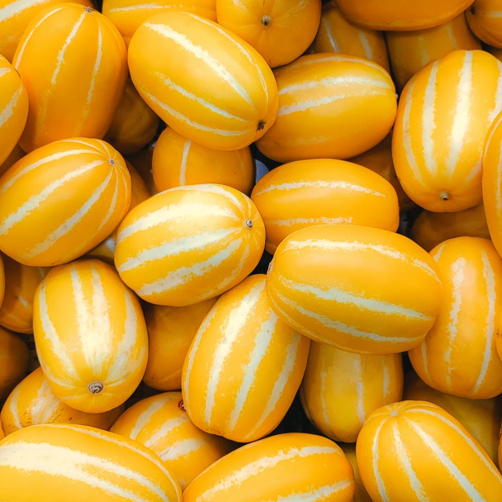 가정용 성주참외 랜덤과 3kg/5kg/10kg
