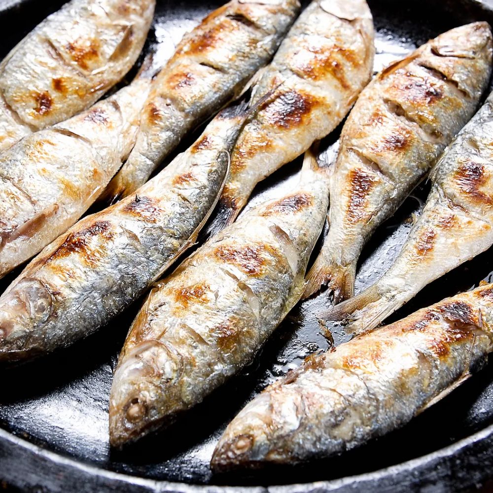 당일 조업 후 급냉한 신선한 구이용 전어 1kg/2kg 대표이미지 섬네일