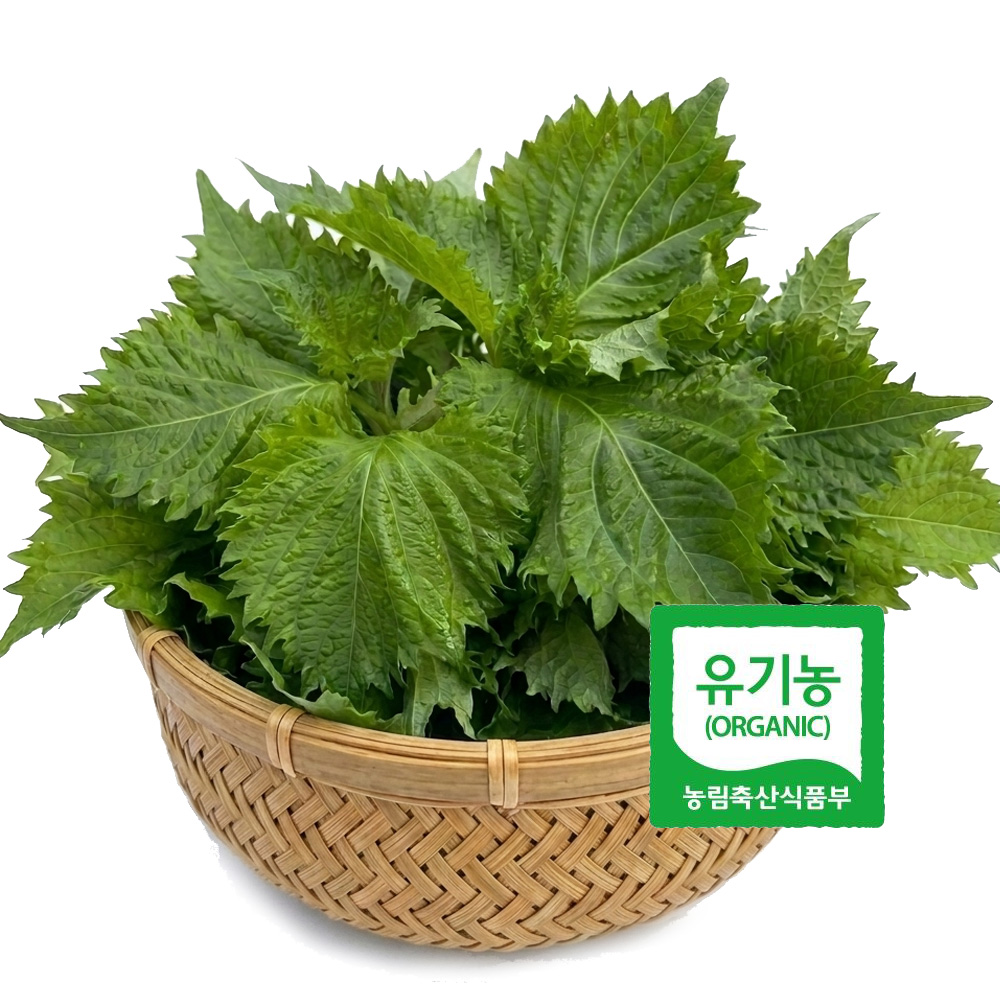 초록초록팜 유기농 시소깻잎 500g 1kg  국내산 오오바 허브채소 초밥 사시미 일식재료 쌈채소 친환경 ZU 대표이미지 섬네일