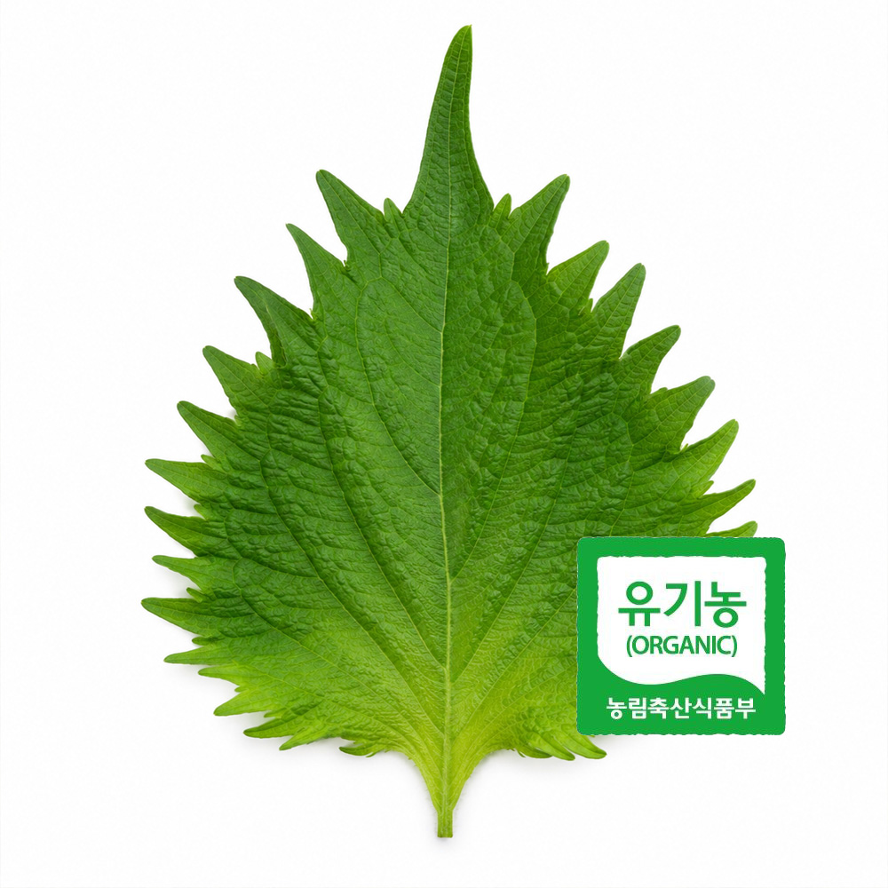 초록초록팜 유기농 시소깻잎 500g 1kg 국내산 오오바 허브채소 초밥 사시미 일식재료 쌈채소 친환경 ZU