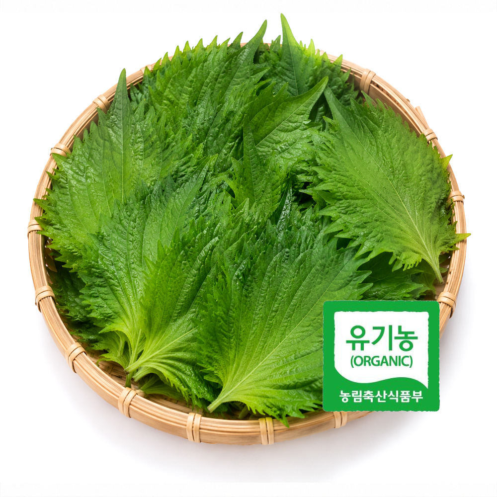 초록초록팜 유기농 시소깻잎 500g 1kg 국내산 오오바 허브채소 초밥 사시미 일식재료 쌈채소 친환경 ZU