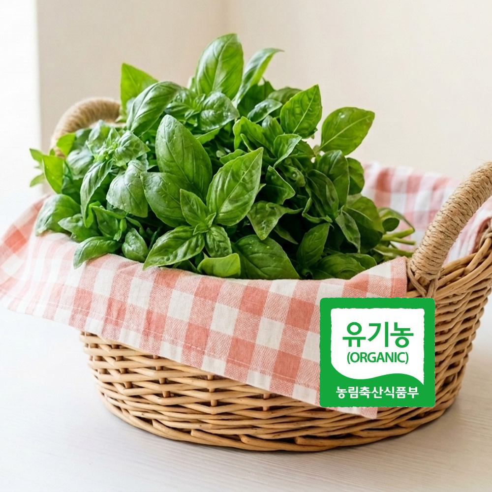 유기농 생 바질 50g 신선한 페스토용 샐러드용 파스타용 프리미엄 허브 Dd