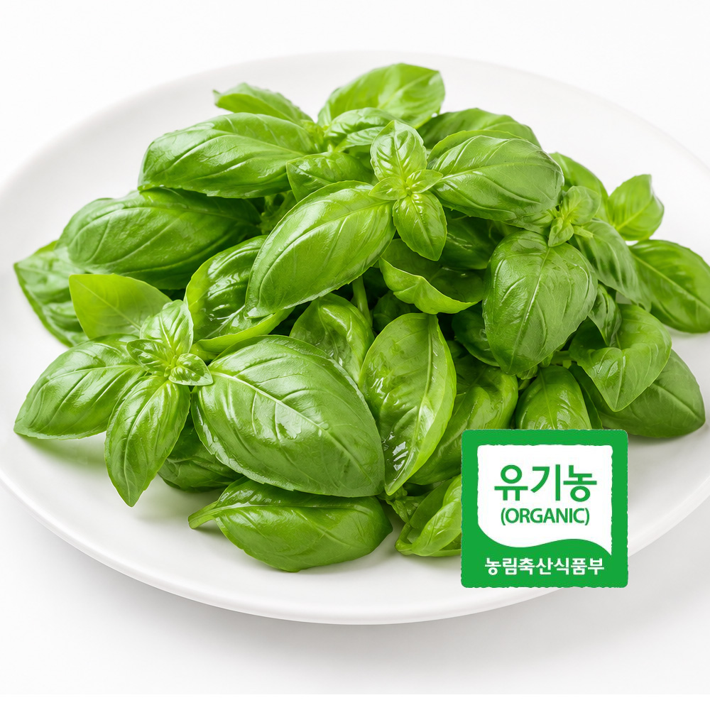 유기농 생 바질 50g 신선한 페스토용 샐러드용 파스타용 프리미엄 허브 Dd 대표이미지 섬네일
